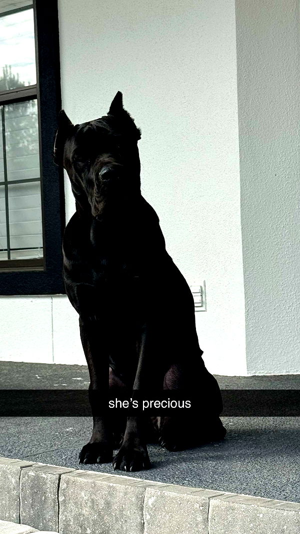 mckinley_1 image ~ Altpins