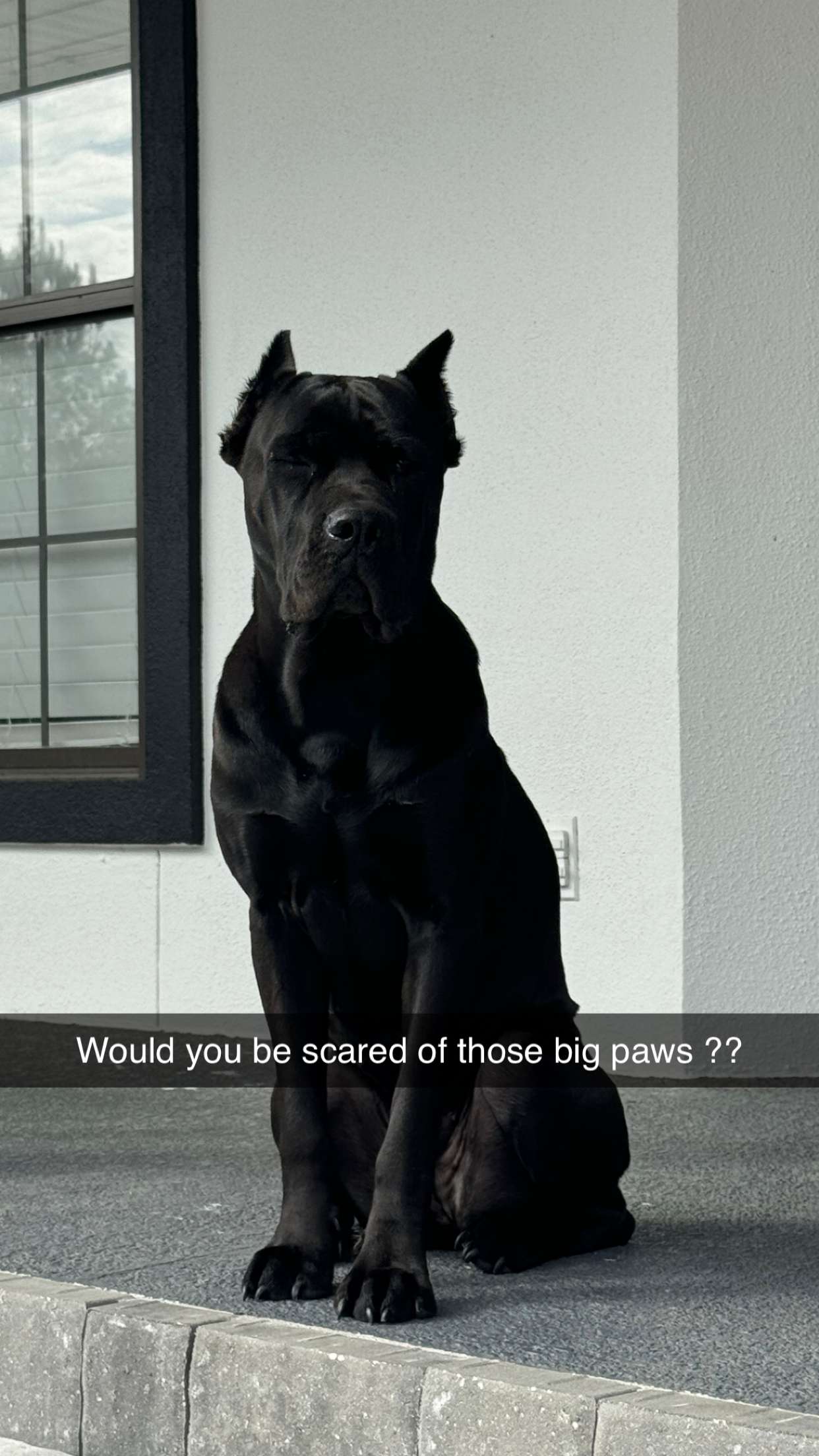 mckinley_1 snapchat image archive image