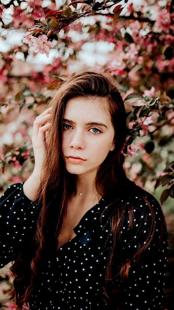 mckinley_1 image ~ Altpins