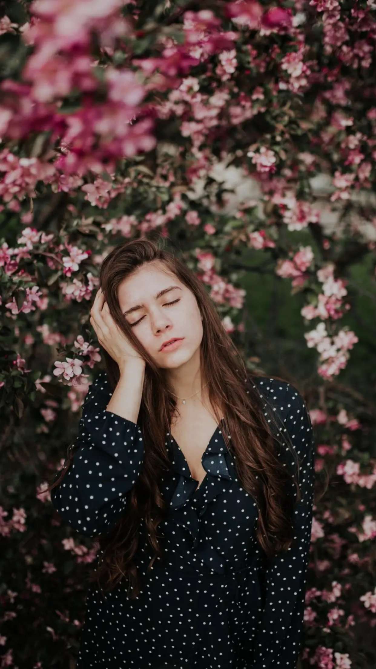 mckinley_1 snapchat image archive image