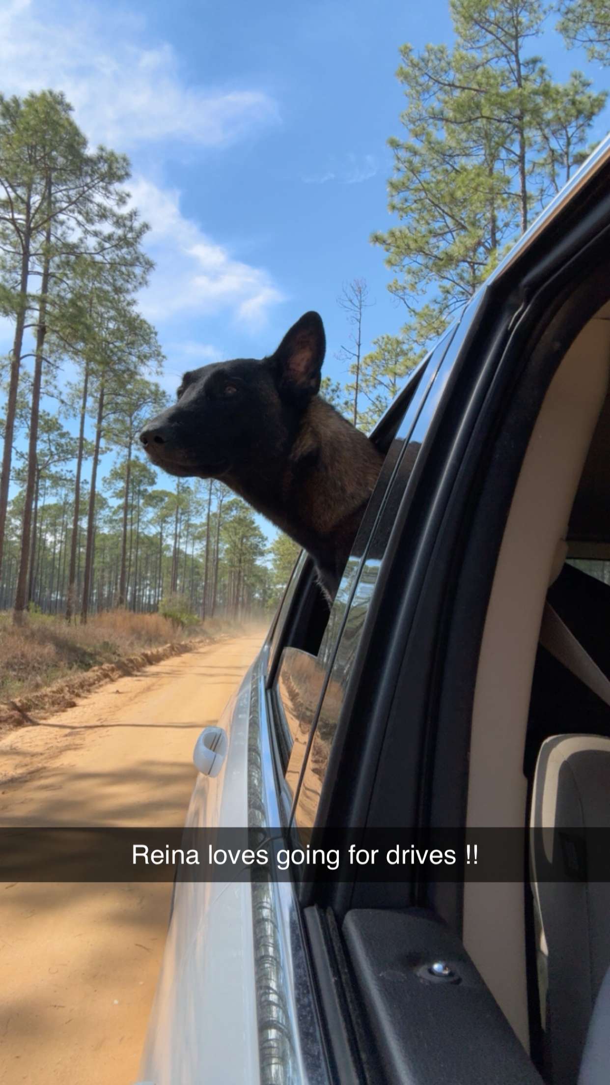 mckinley_1 snapchat image archive image