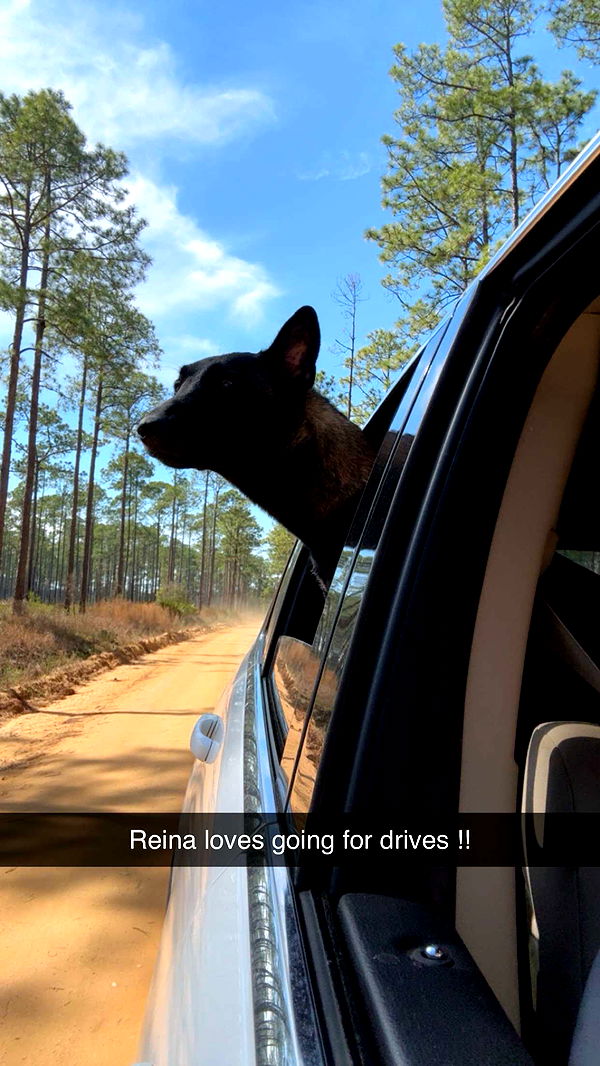 mckinley_1 image ~ Altpins