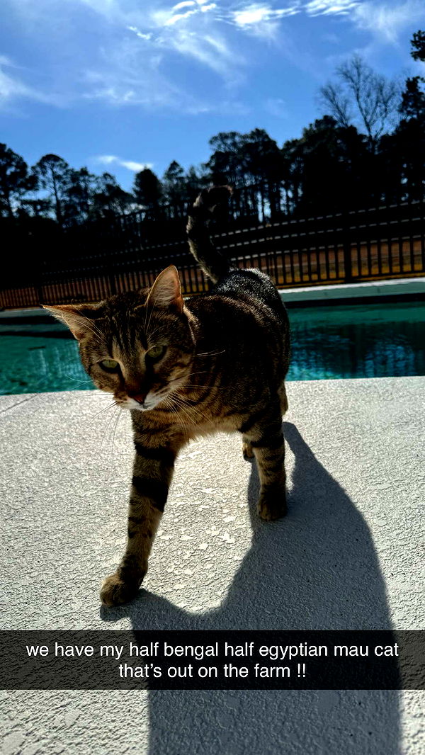 mckinley_1 image ~ Altpins