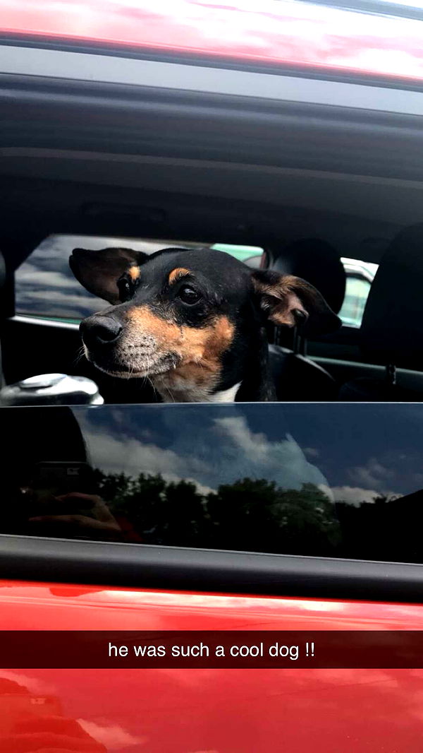 mckinley_1 image ~ Altpins