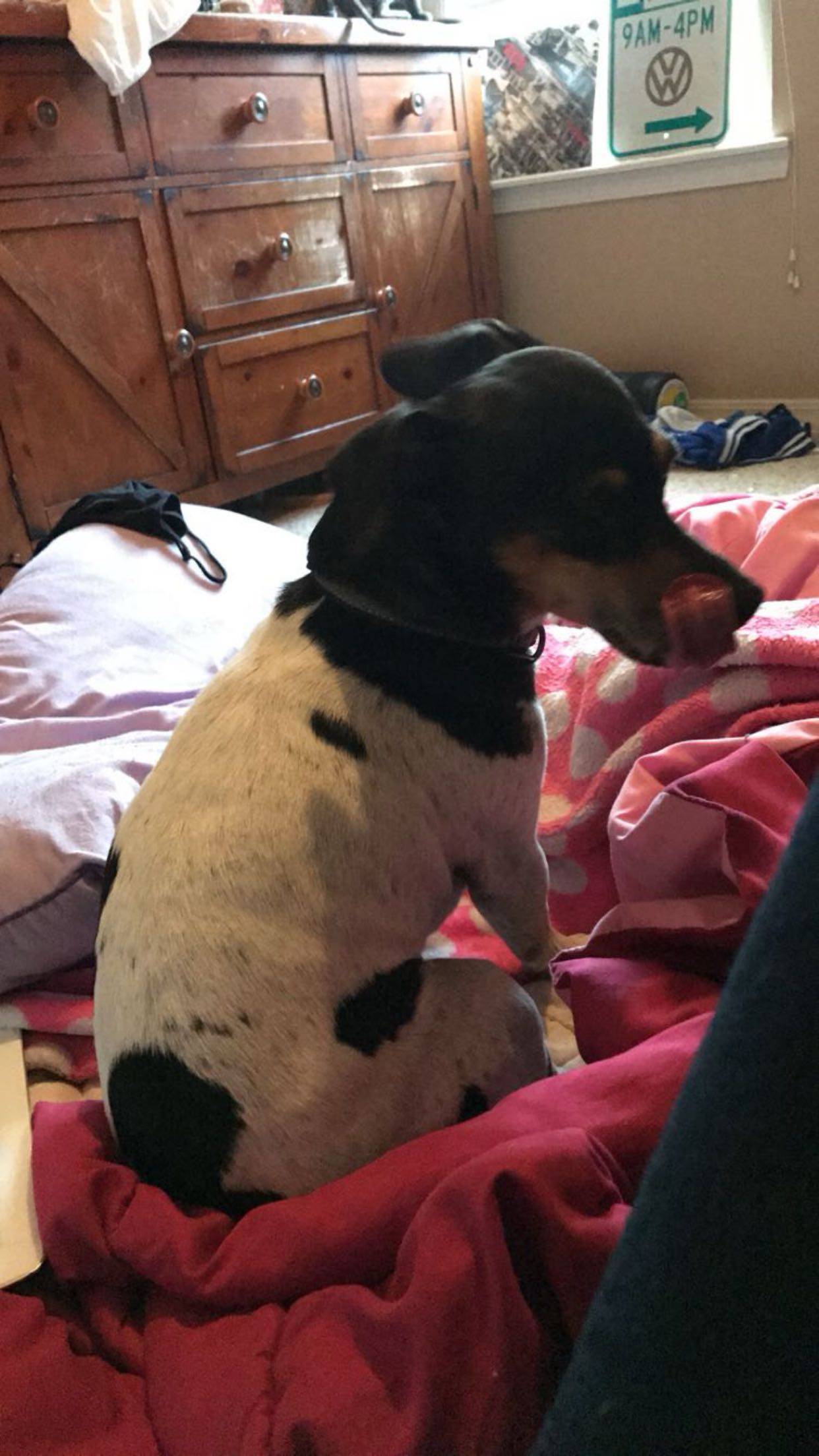 mckinley_1 snapchat image archive image