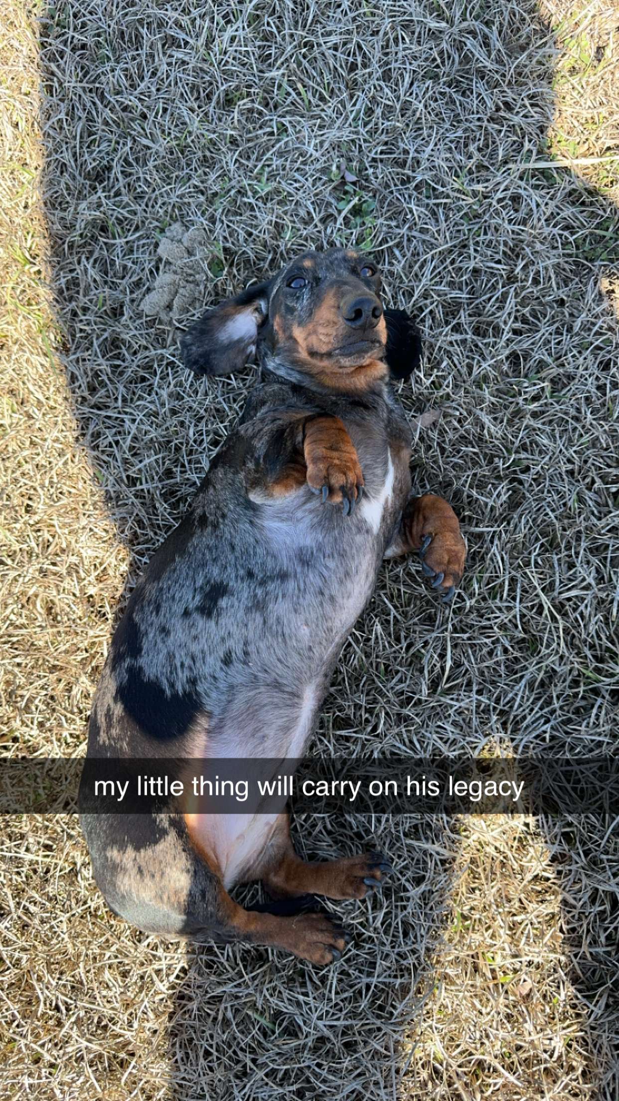 mckinley_1 snapchat image archive image