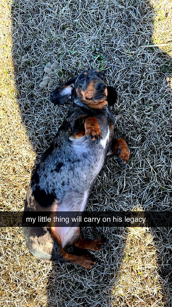 mckinley_1 image ~ Altpins