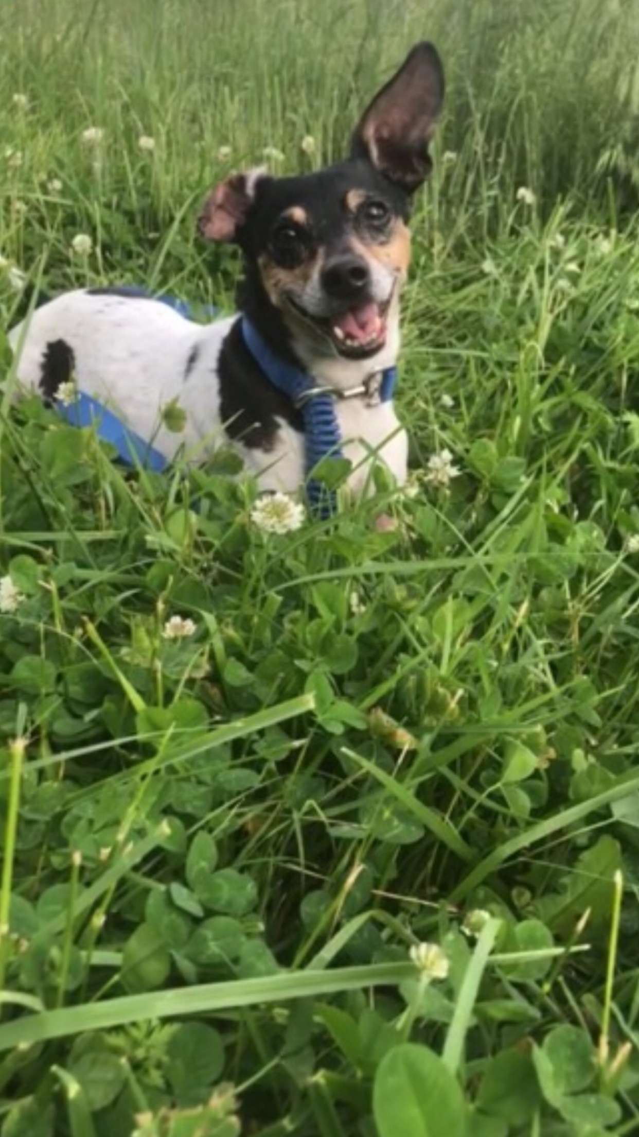 mckinley_1 snapchat image archive image