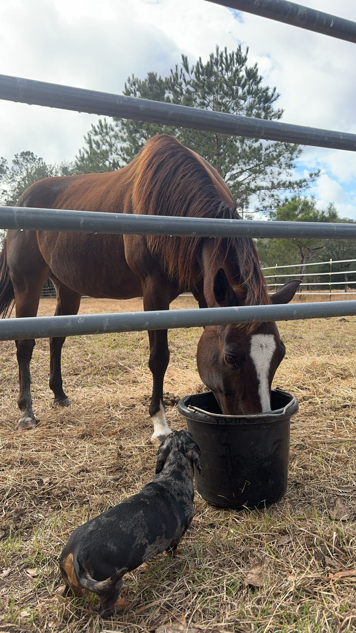 mckinley_1 snapchat image archive image