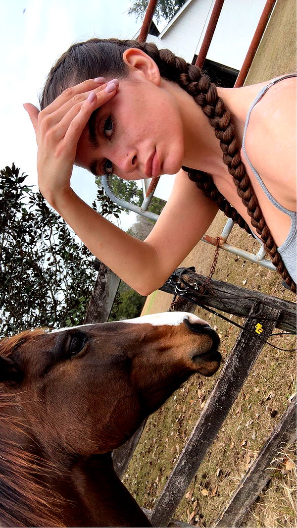 mckinley_1 image ~ Altpins