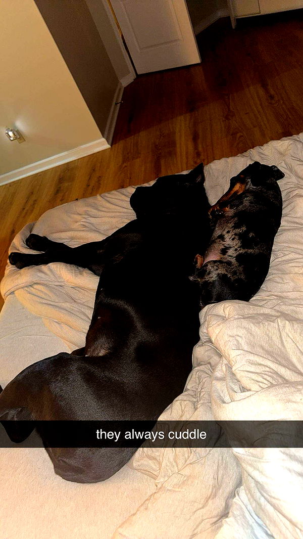 mckinley_1 image ~ Altpins