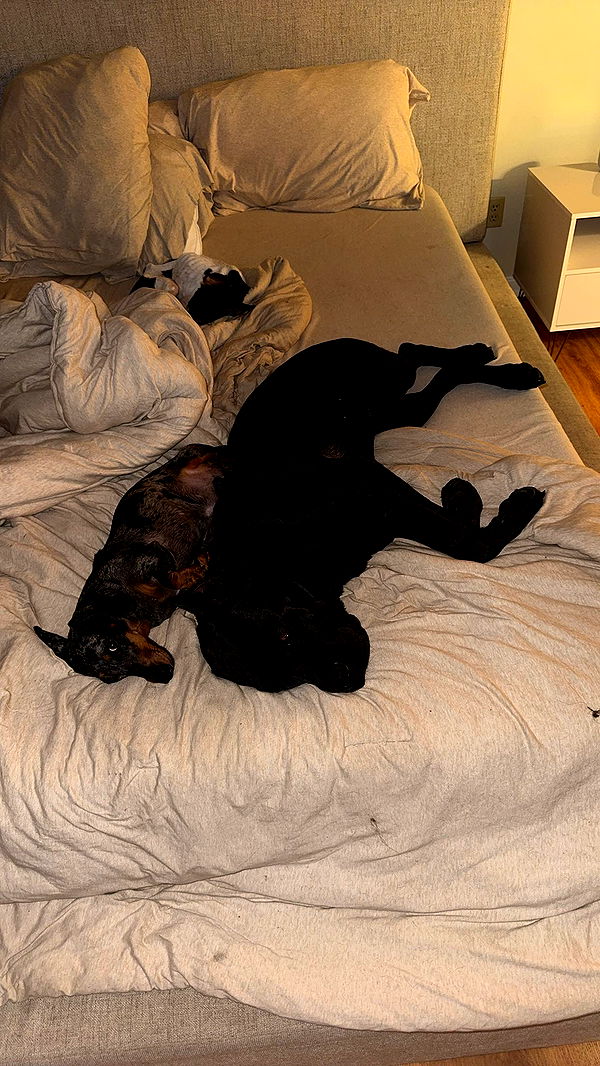 mckinley_1 image ~ Altpins