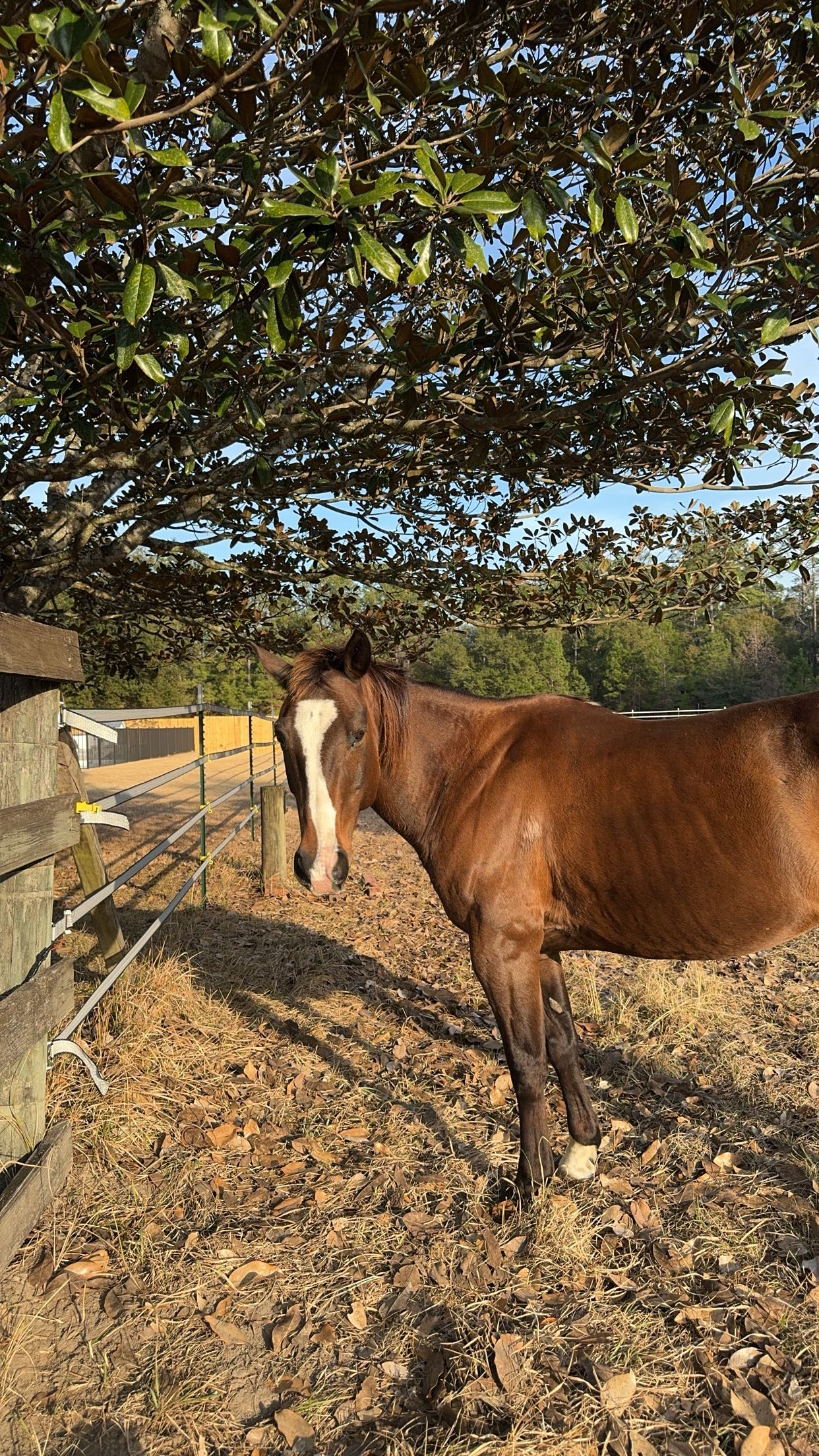 mckinley_1 snapchat image archive image