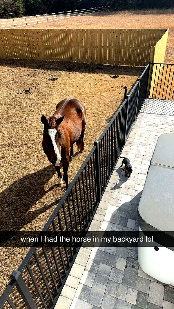 mckinley_1 image ~ Altpins