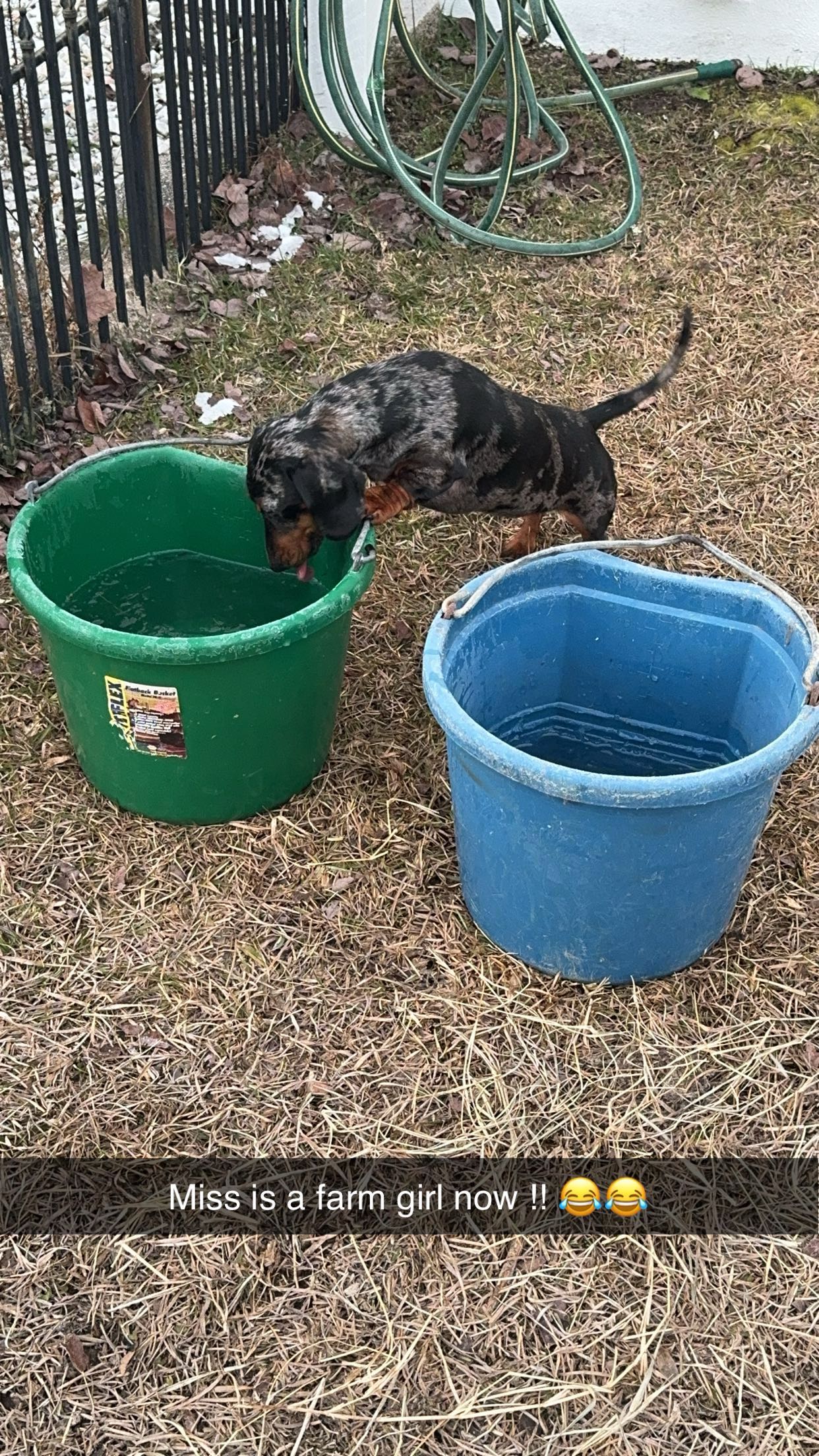 mckinley_1 snapchat image archive image