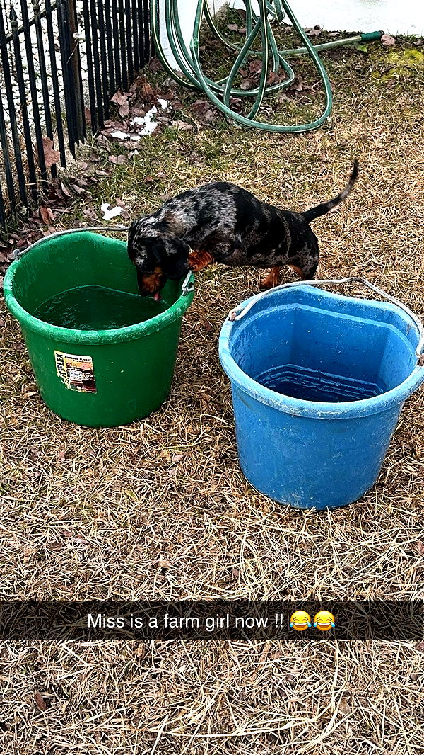 mckinley_1 image ~ Altpins