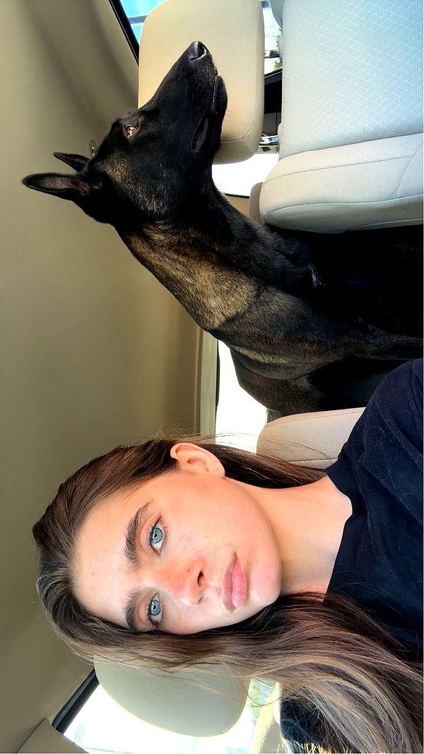 mckinley_1 image ~ Altpins