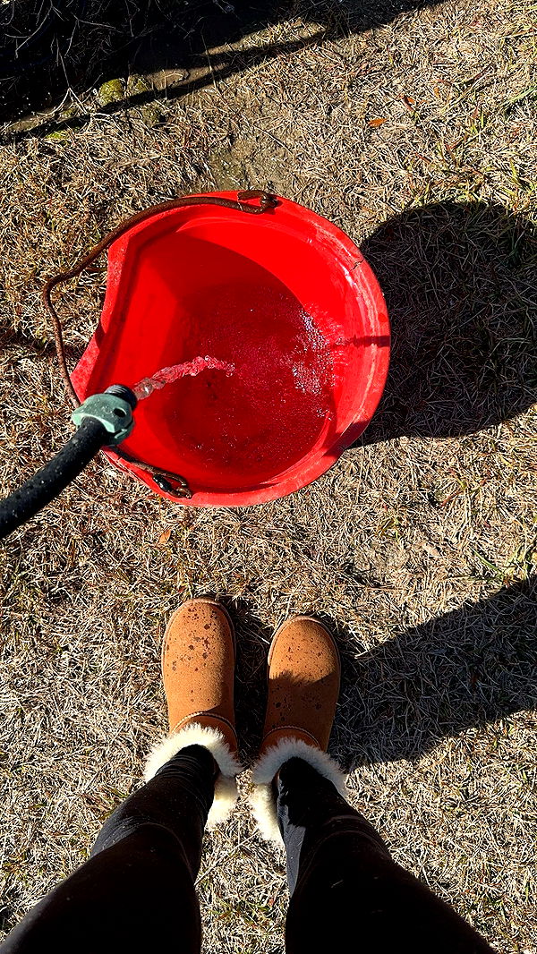 mckinley_1 image ~ Altpins