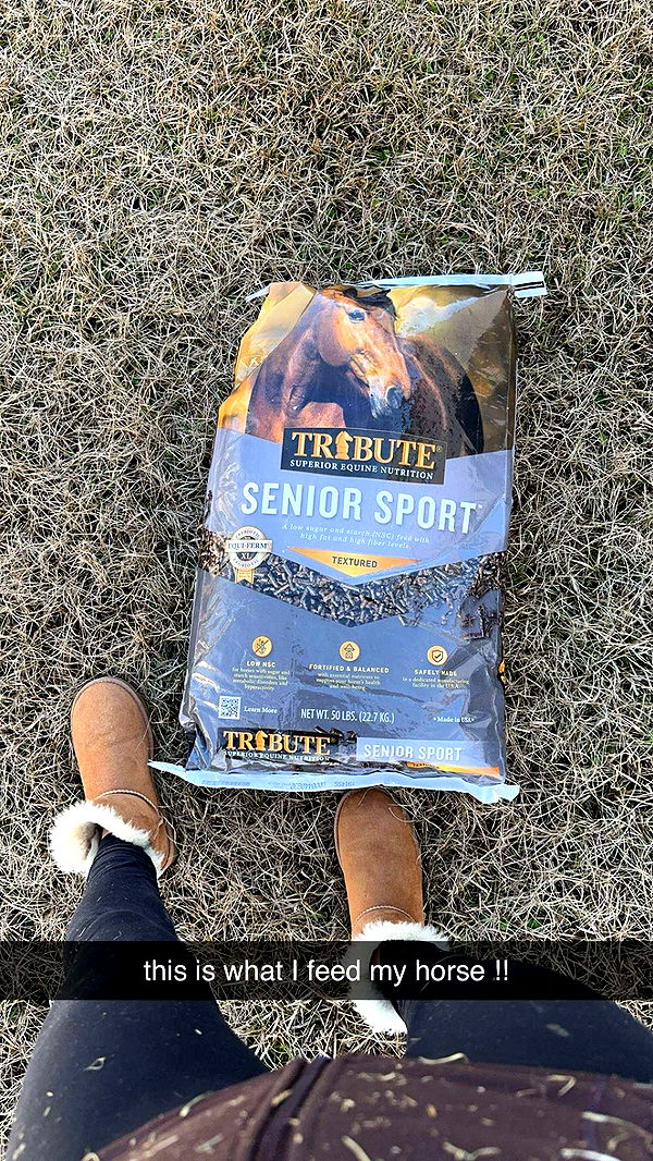 mckinley_1 image ~ Altpins