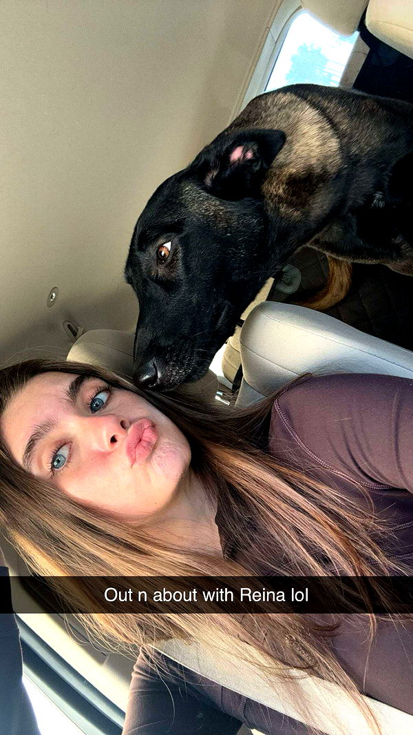 mckinley_1 image ~ Altpins