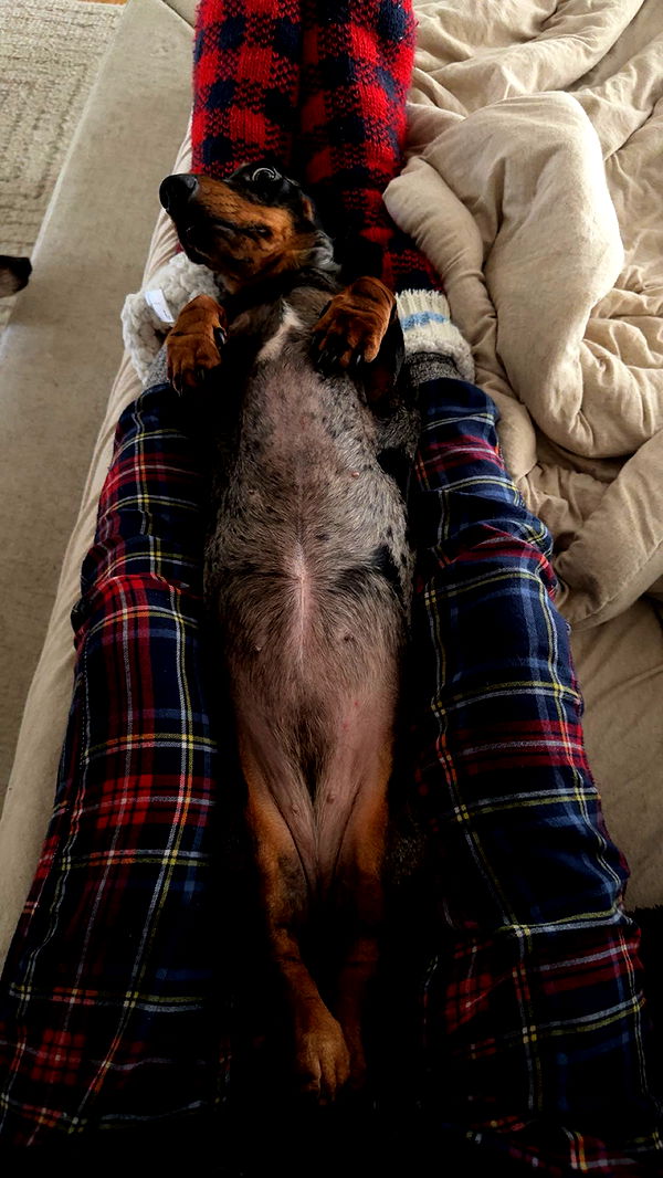 mckinley_1 image ~ Altpins