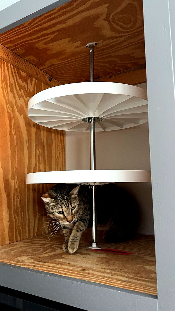 mckinley_1 image ~ Altpins