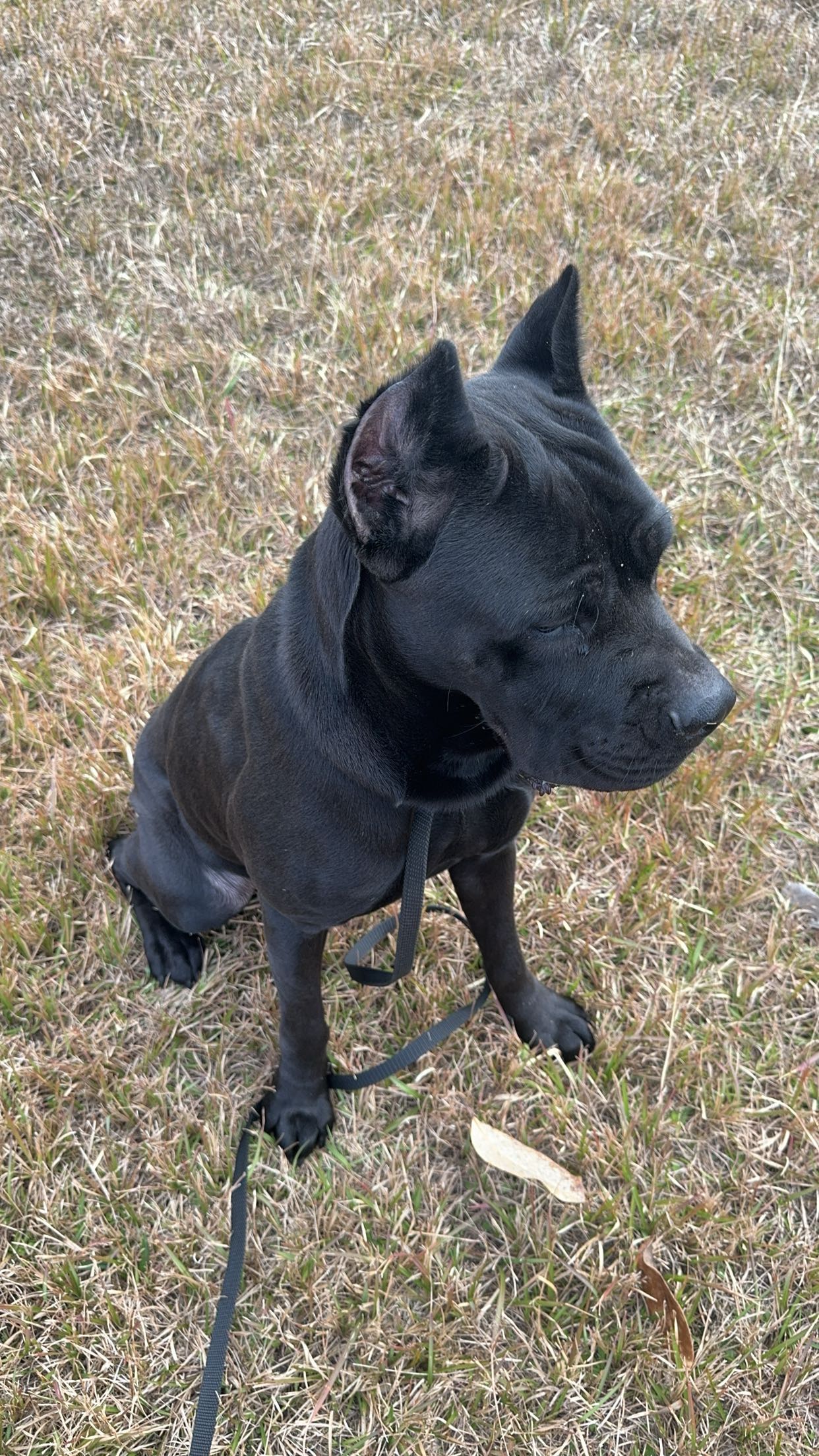 mckinley_1 snapchat image archive image