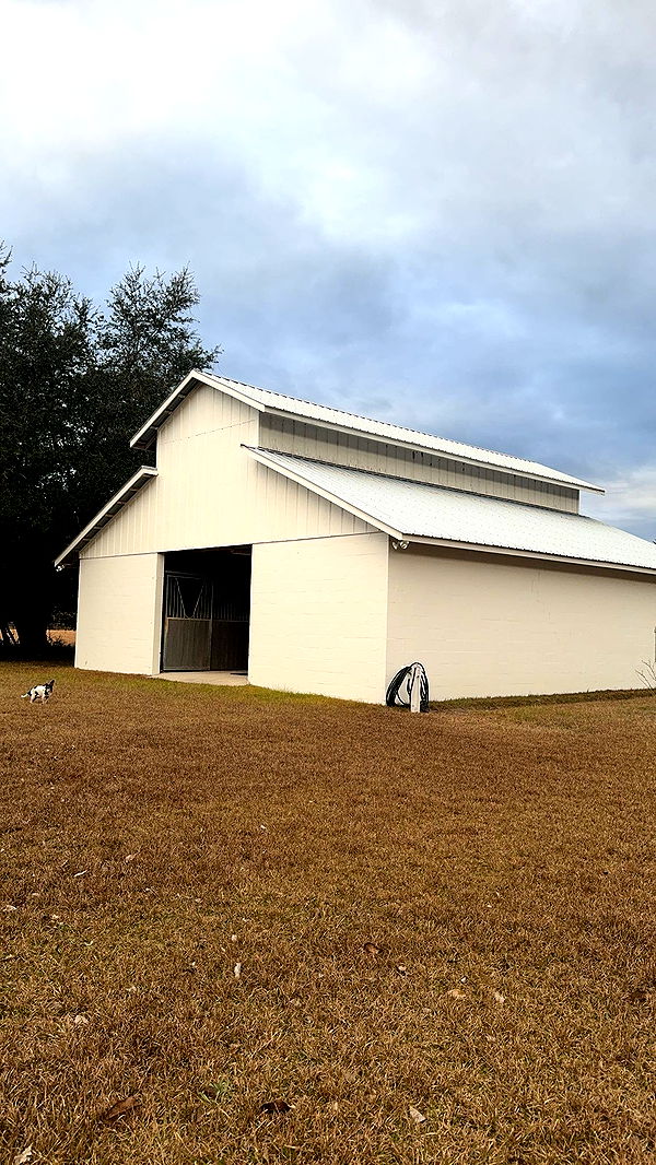 mckinley_1 image ~ Altpins