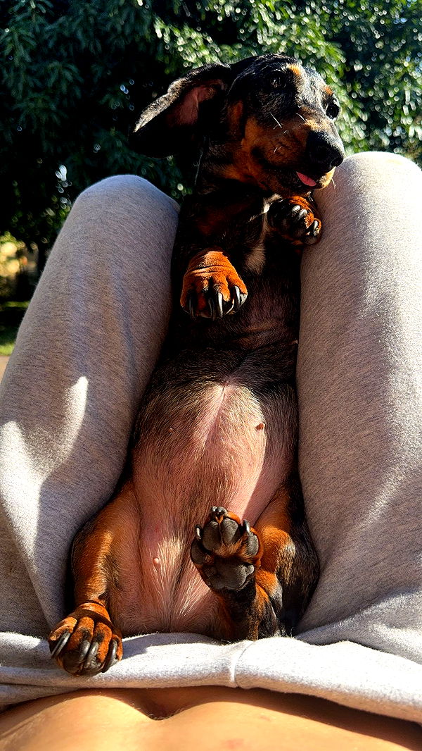 mckinley_1 image ~ Altpins