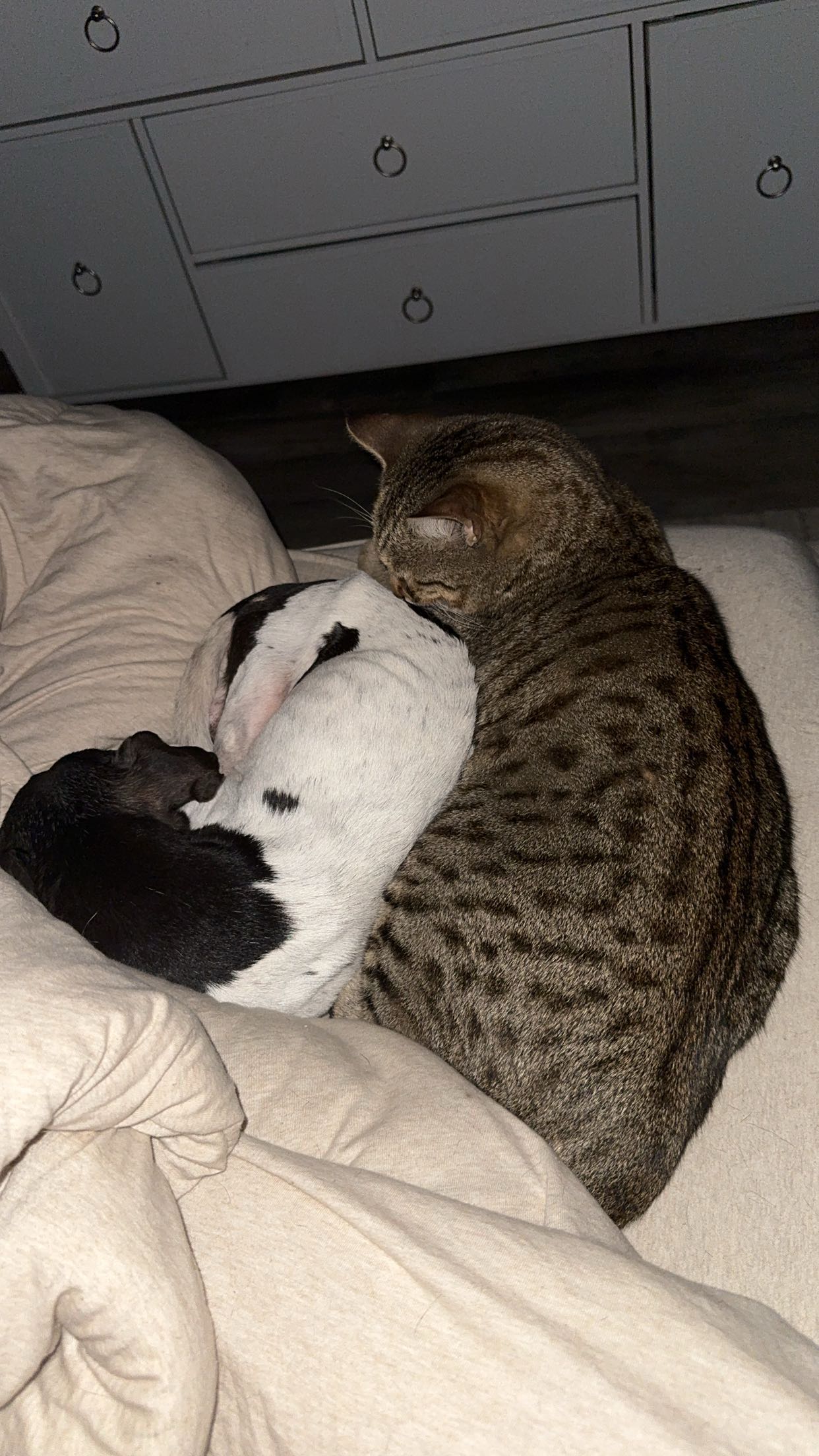 mckinley_1 snapchat image archive image