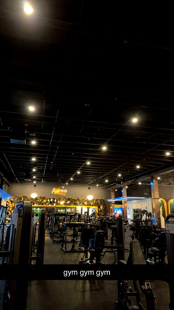 mckinley_1 image ~ Altpins