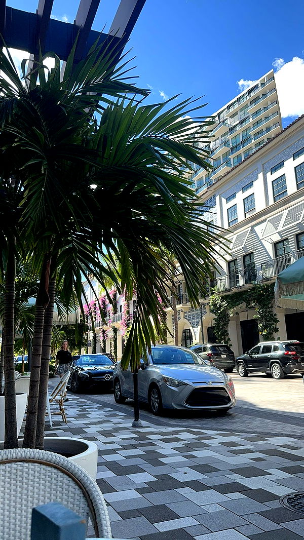 mckinley_1 image ~ Altpins