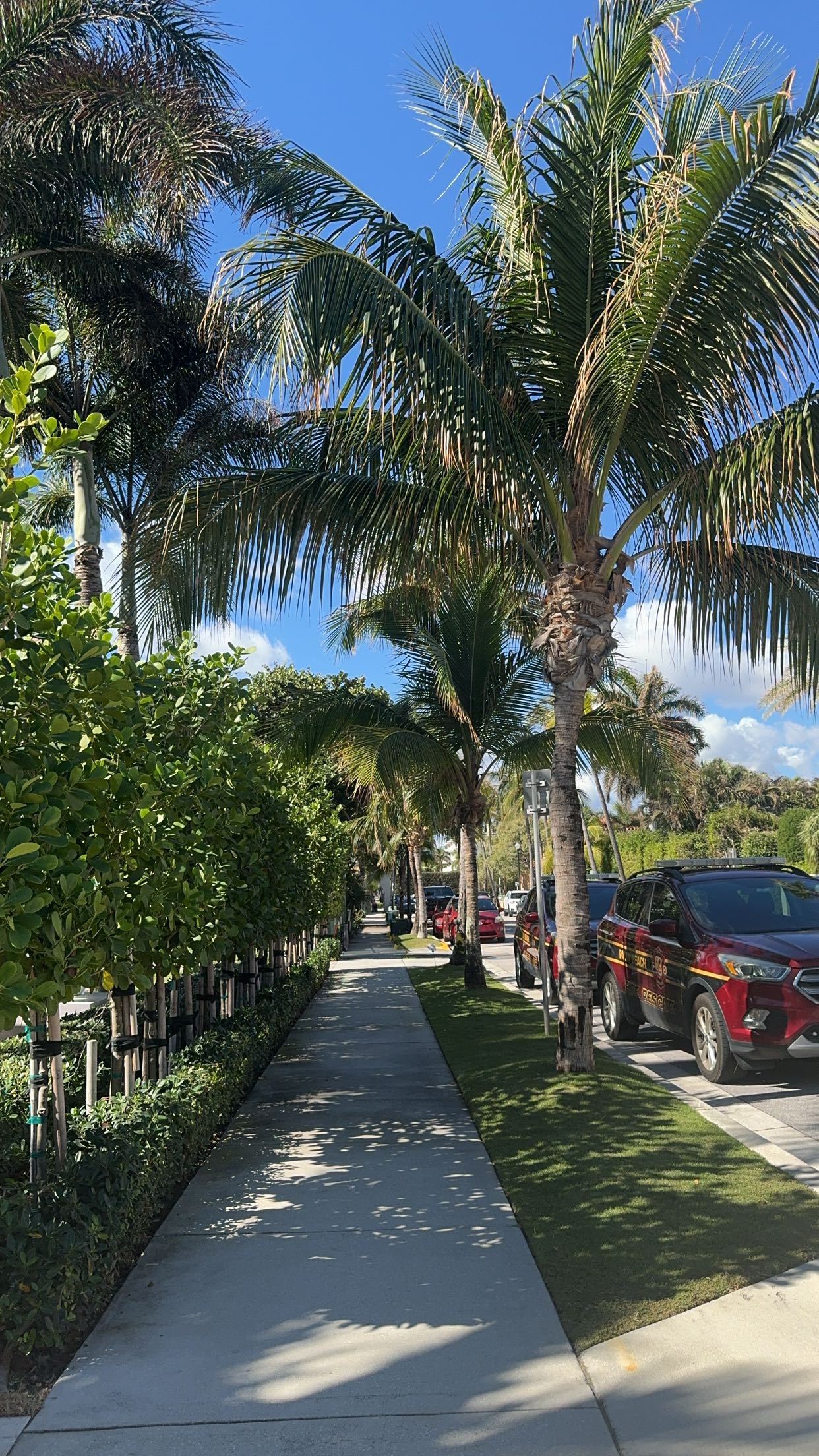 mckinley_1 snapchat image archive image