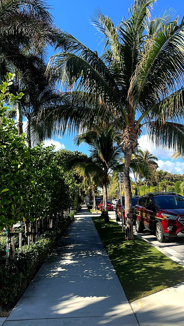 mckinley_1 image ~ Altpins