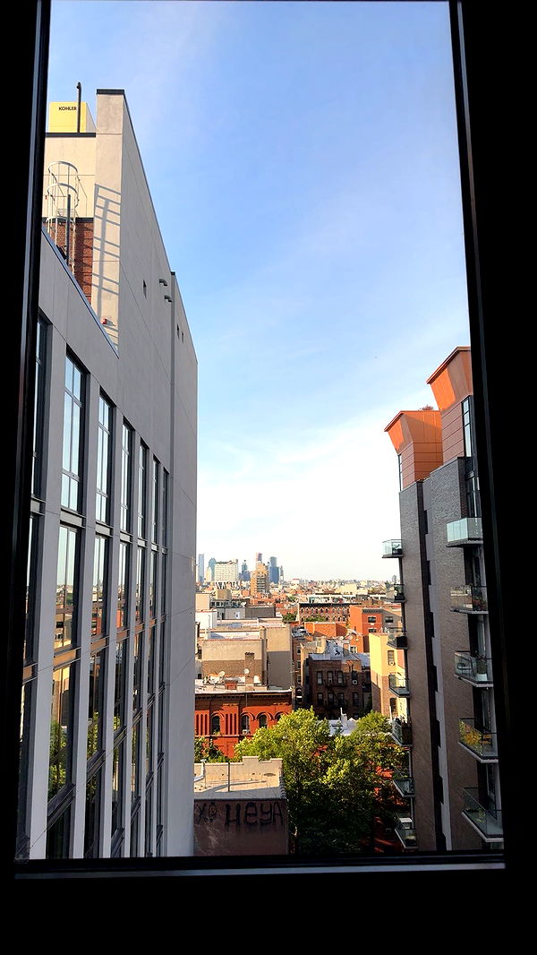 mckinley_1 image ~ Altpins