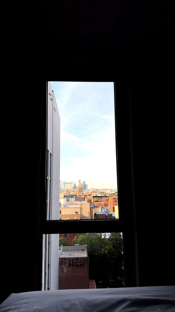 mckinley_1 image ~ Altpins