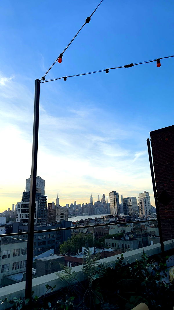 mckinley_1 image ~ Altpins