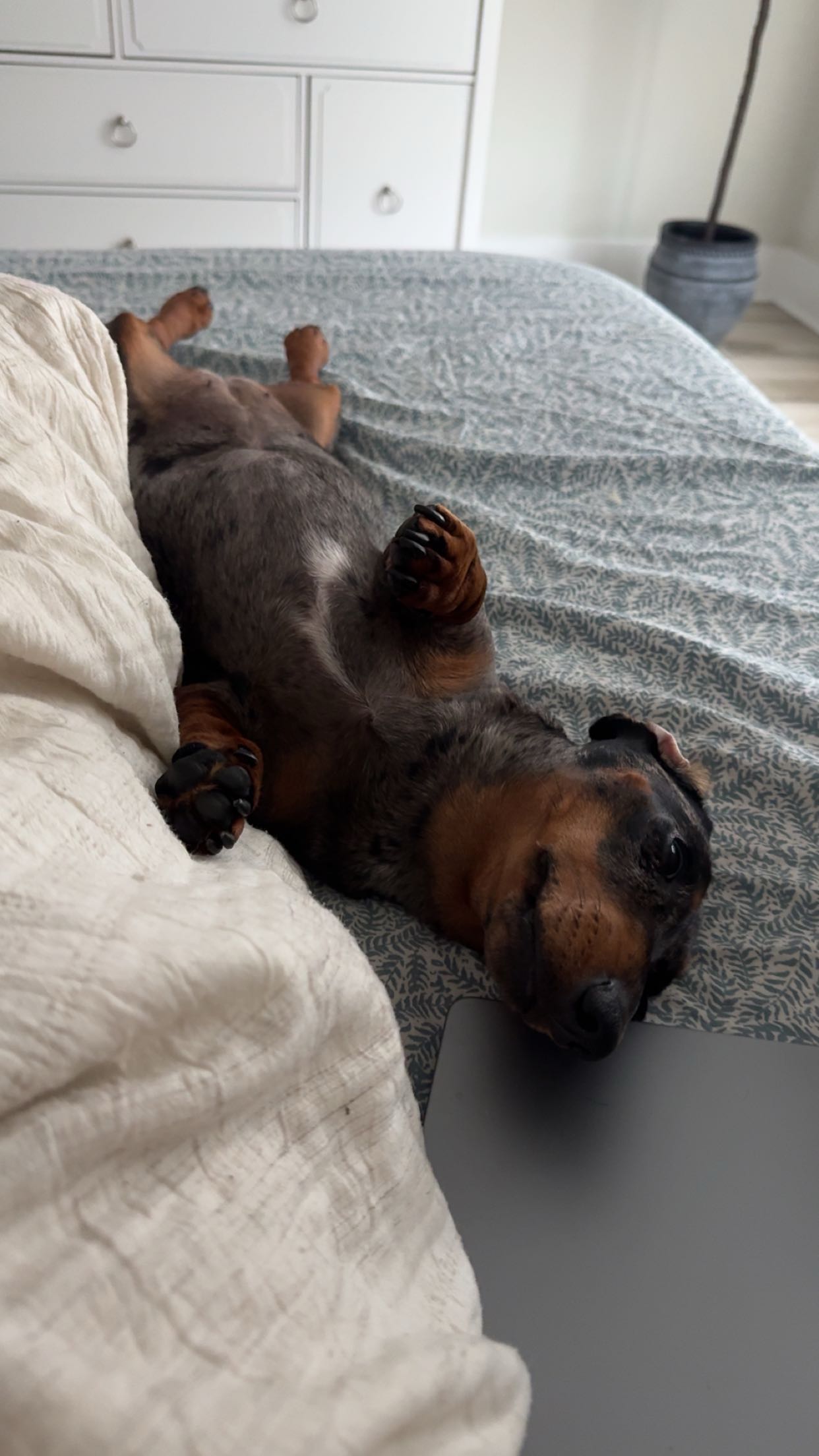 mckinley_1 snapchat image archive image