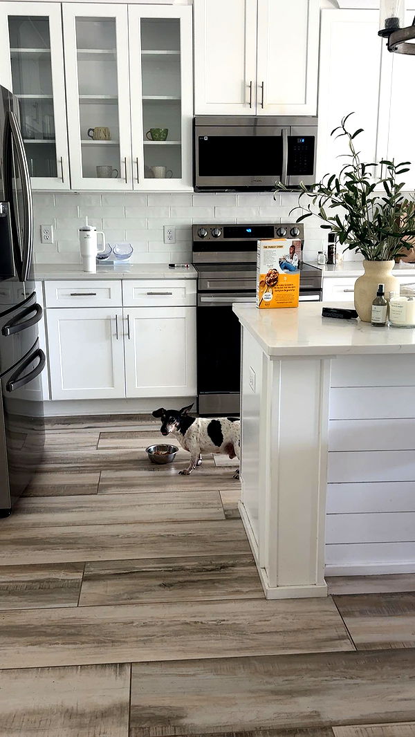 mckinley_1 image ~ Altpins