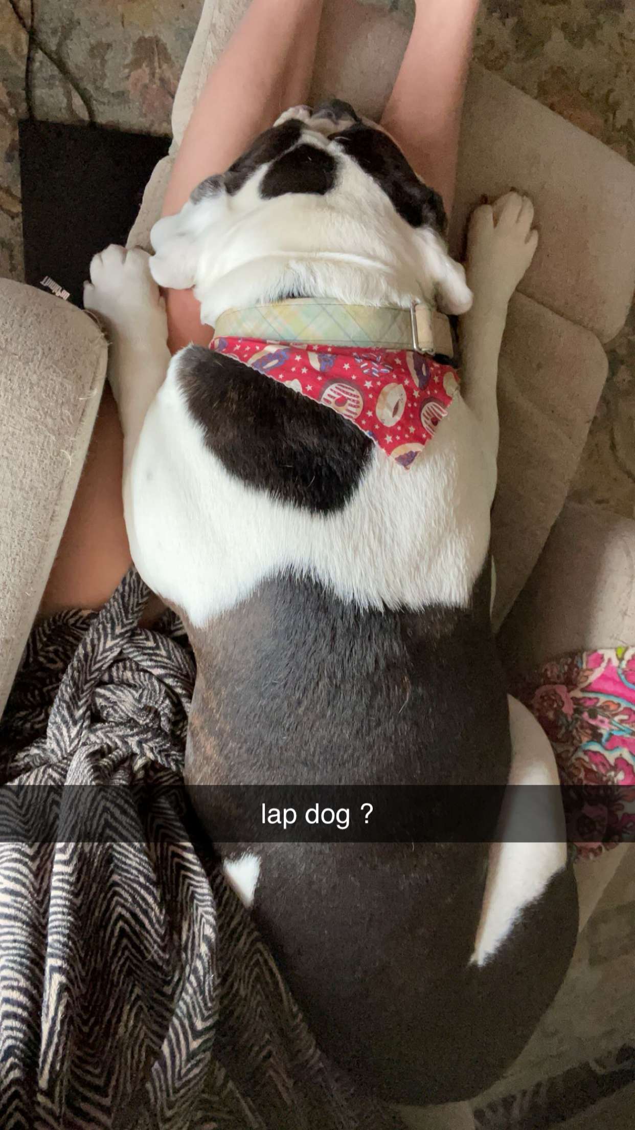 mckinley_1 snapchat image archive image