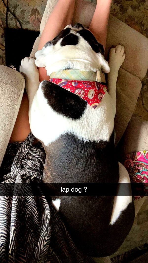 mckinley_1 image ~ Altpins