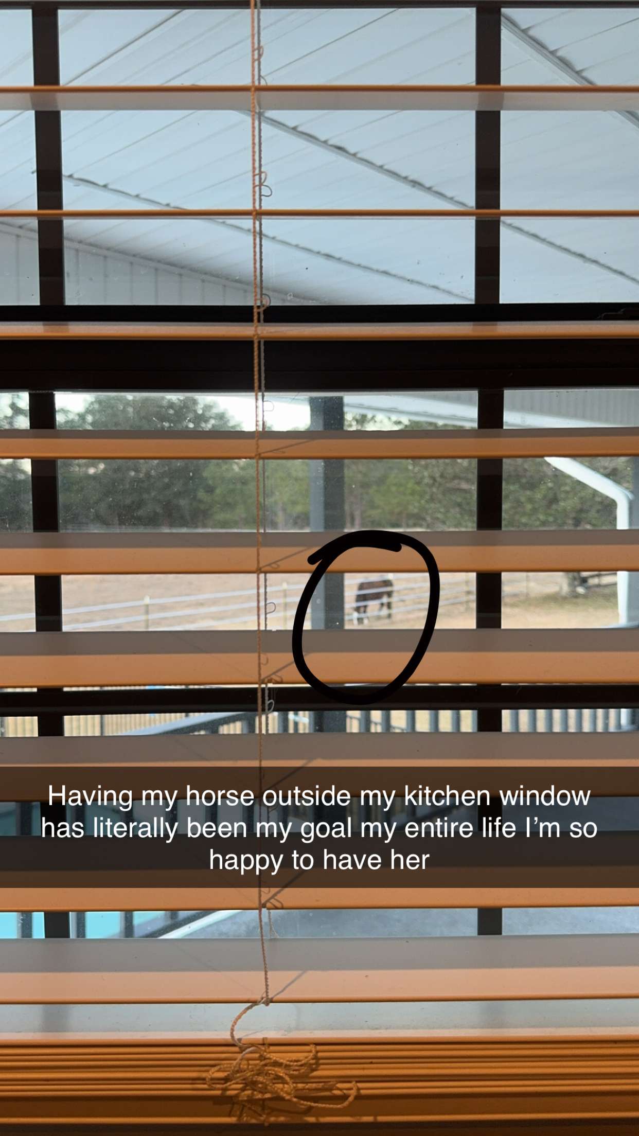 mckinley_1 snapchat image archive image