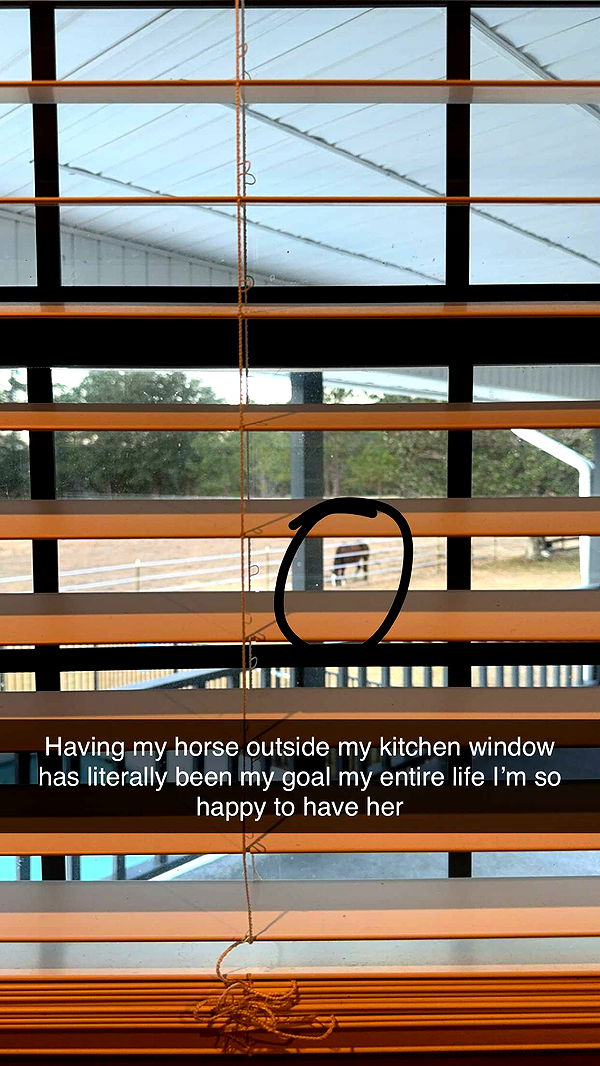 mckinley_1 image ~ Altpins