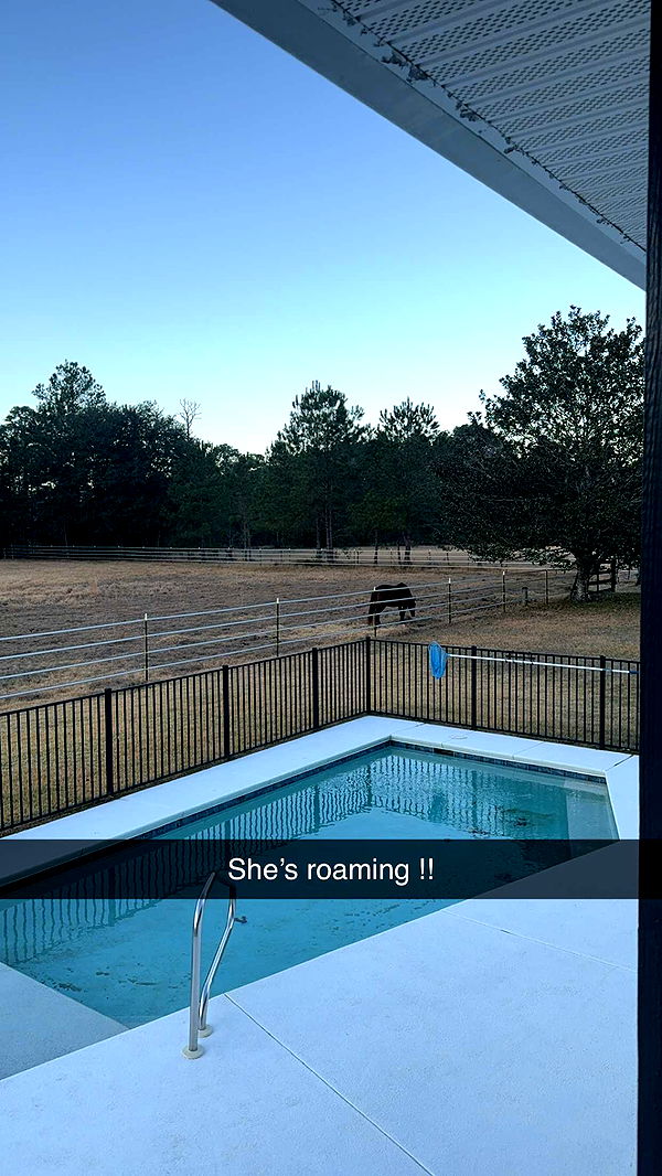 mckinley_1 image ~ Altpins