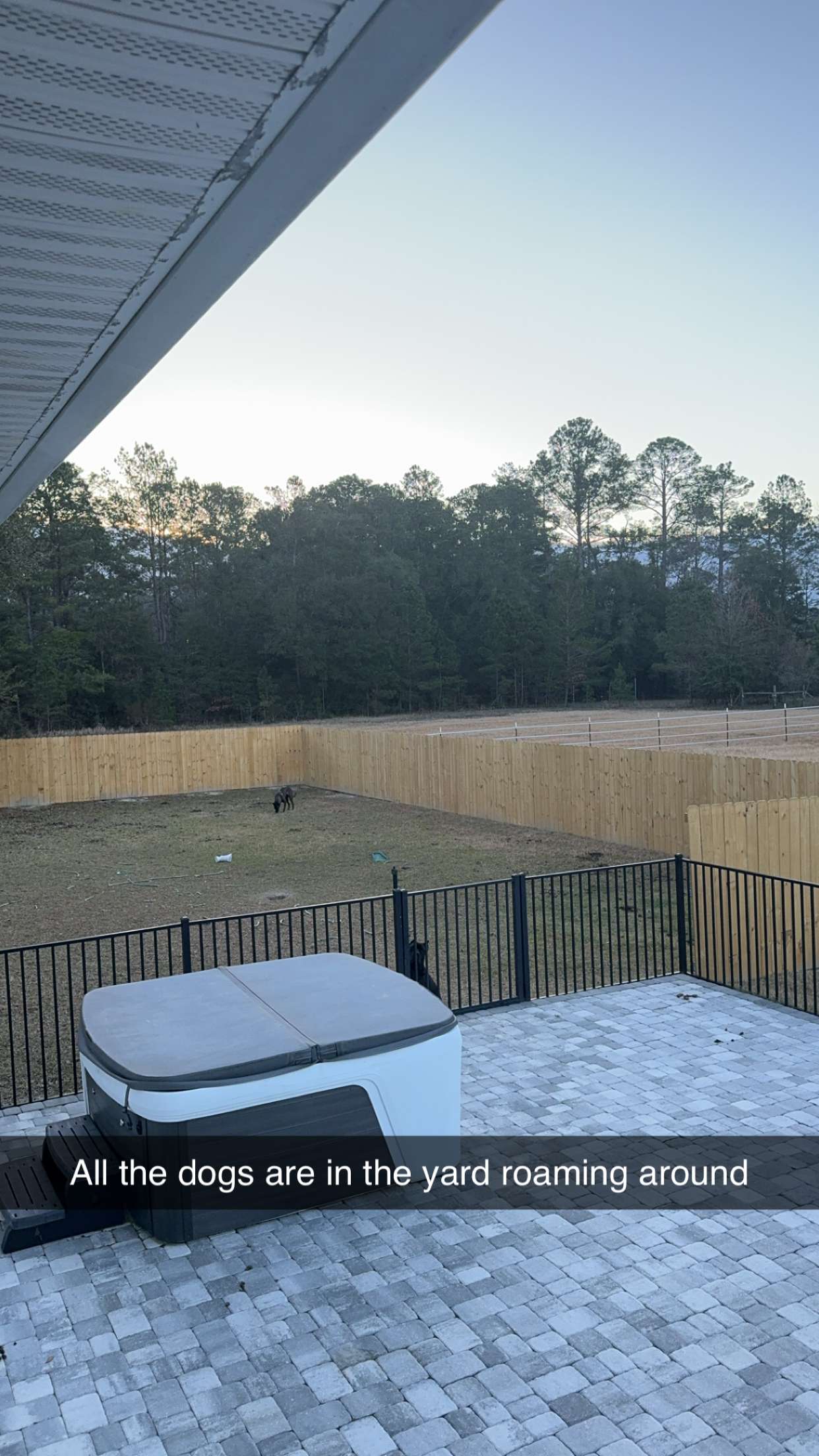 mckinley_1 snapchat image archive image