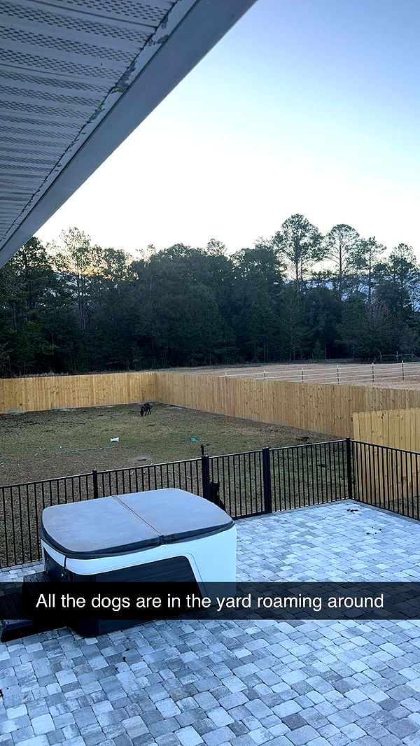 mckinley_1 image ~ Altpins