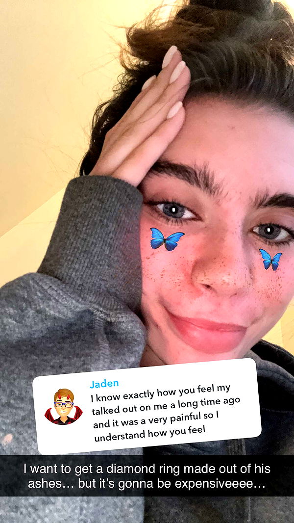 mckinley_1 image ~ Altpins