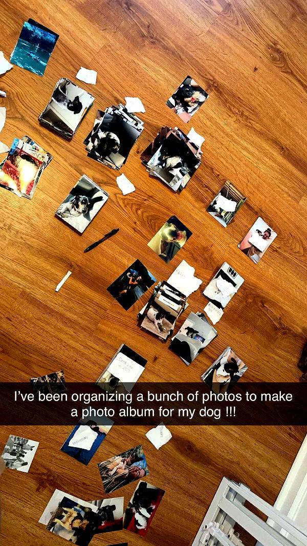 mckinley_1 image ~ Altpins