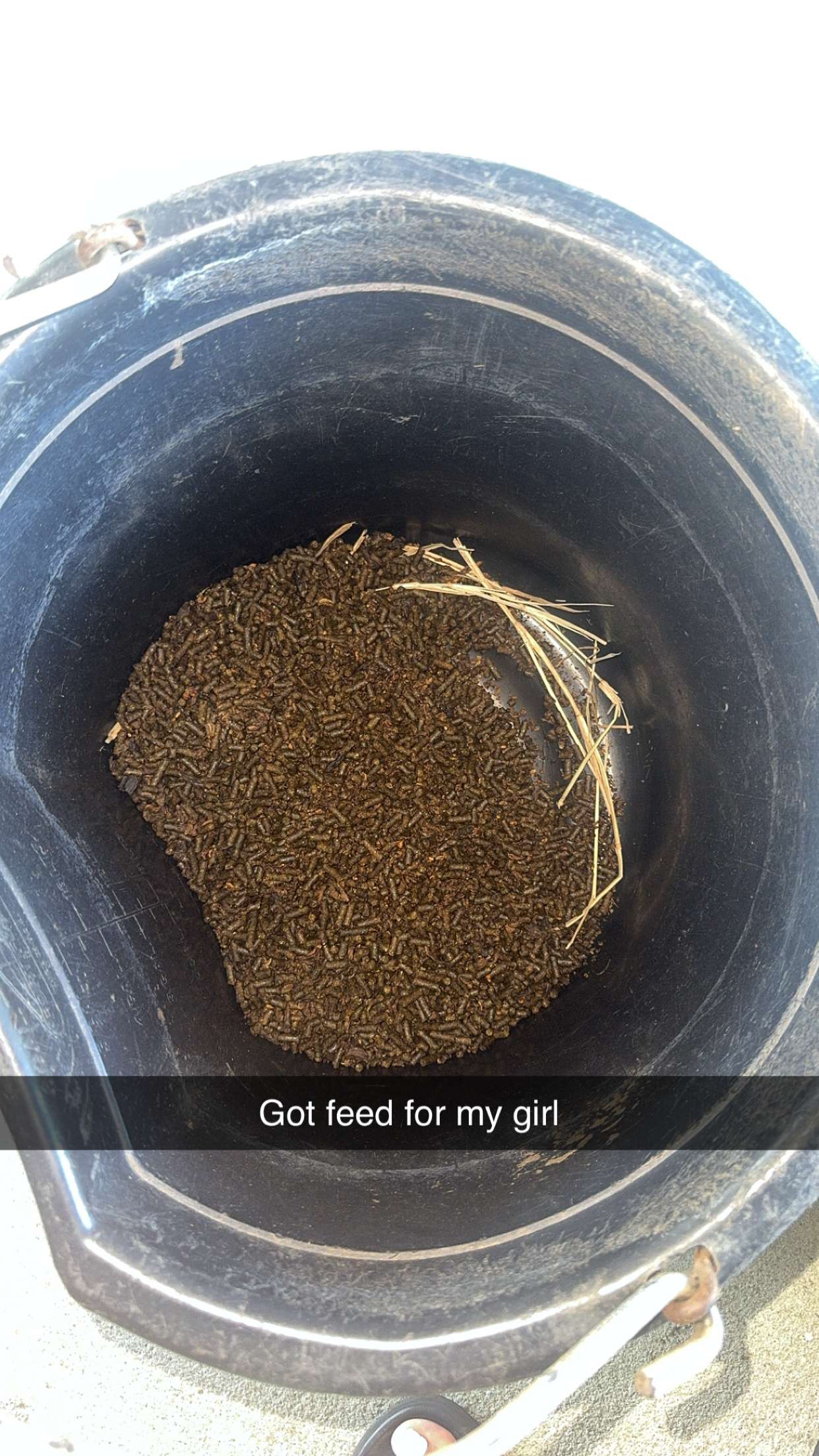 mckinley_1 snapchat image archive image