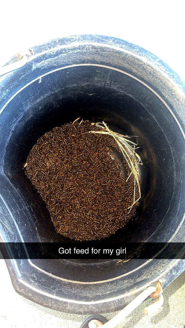 mckinley_1 image ~ Altpins